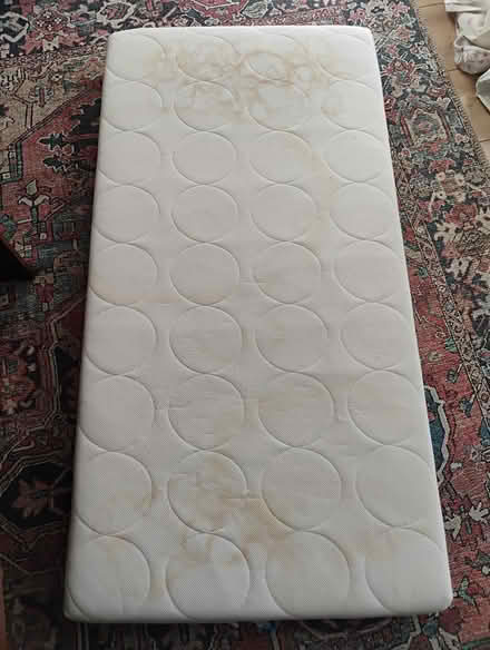 Photo of free Cot bed / animal bed (billericay CM12) #1