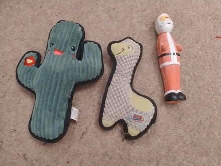 Photo of free Dog toys (Botley) #1