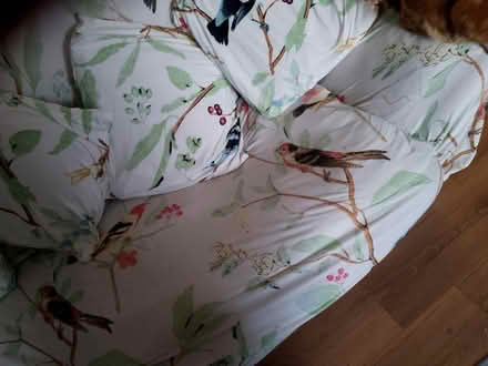 Photo of free Large leather cream shabby sofa (DA1 3PE) #2