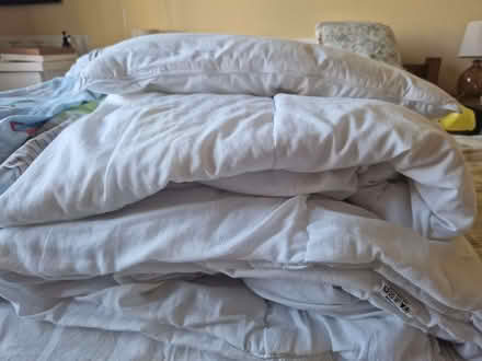 Photo of free Cotbed/ toddler bedding (Bear Flat) #3