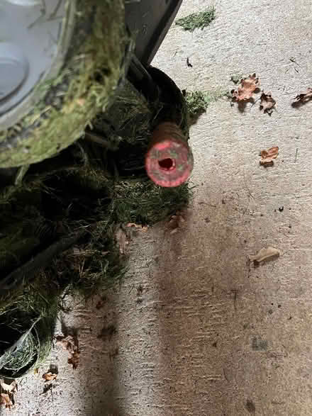 Photo of free Qualcast electric lawnmower (Flitwick MK45) #2