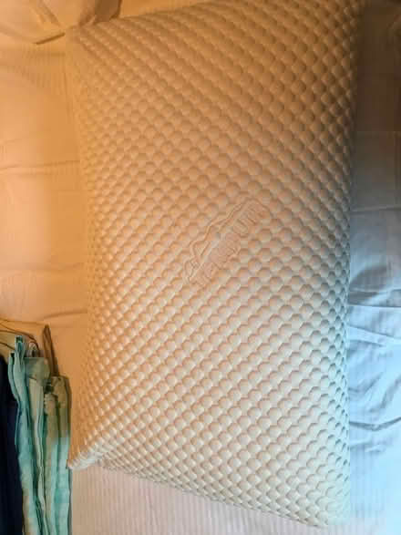 Photo of free Tempura pillow (Shepherds Bush) #1