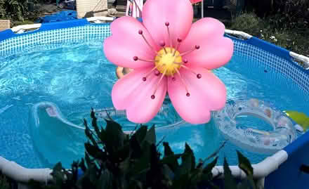 Photo of free Large pool (Bedford MK41) #1