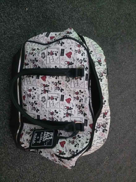 Photo of free Micky & Minnie bag (Chester CH2) #1