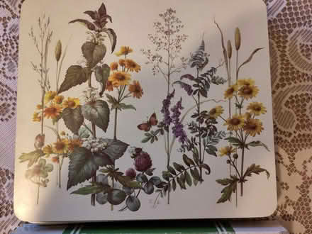 Photo of free Table mats x 12 (Stevenage, Old Town SG1) #1