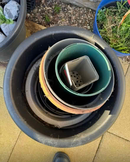 Photo of free Plant pots (Williamson Park LA1) #2