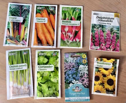 Photo of free Veg and flower seeds (West Bridgford NG2) #1