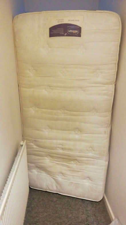 Photo of free single mattress approx 3 x 6 (Rochford SS4) #1