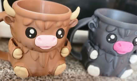 Photo of free Ice cream pint holders (Madison, NJ) #1