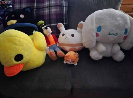 Photo of free Stuffed Animals (Downtown Madison) #1