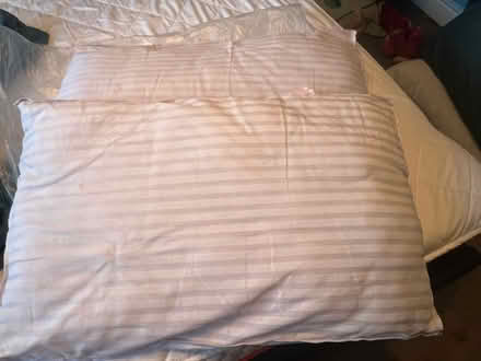 Photo of free pillows (Shipley BD18) #1