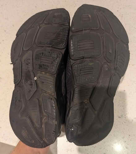 Photo of free Hokas (Brockton Village) #3