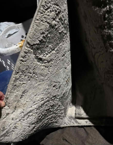 Photo of free 5’x7’ polyester area rug (Valencia Avenue, Sunnyvale) #3