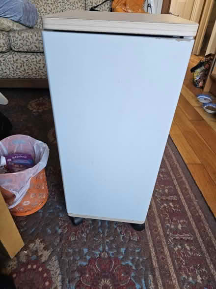 Photo of free Small Cupboard on Wheels (Earlswood RH1) #1