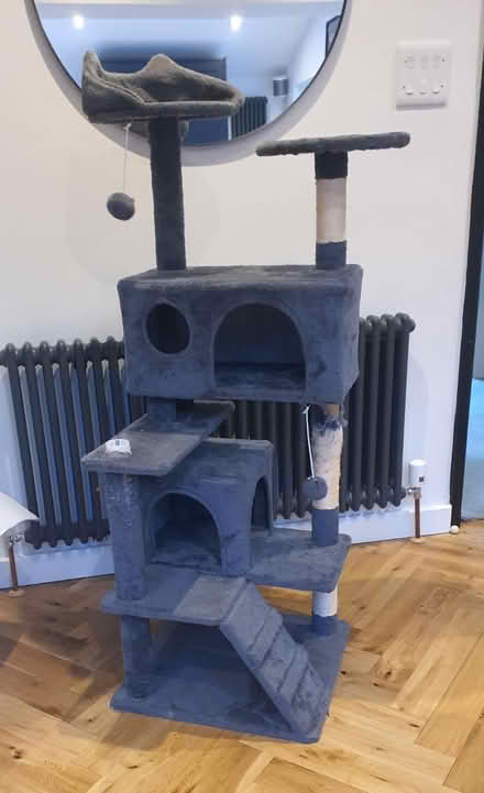Photo of free Grey Cat Tower (BA2) #1