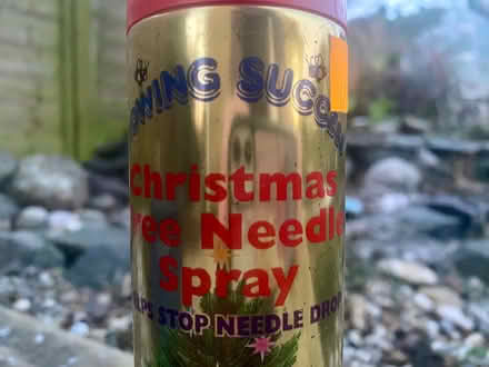 Photo of free Christmas Tree Needle Spray (Cropston LE7) #2