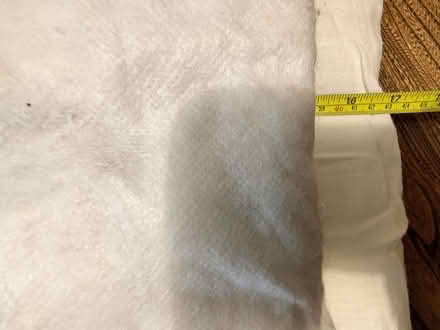 Photo of free Cushion pads two (Lower Crumpsall M8) #4