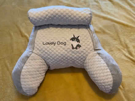 Photo of free Cushion (Kenilworth CV8) #1