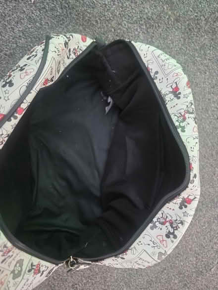 Photo of free Micky & Minnie bag (Chester CH2) #2
