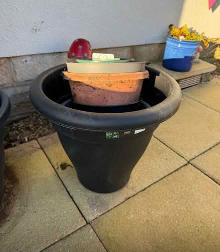 Photo of free Plant pots (Williamson Park LA1) #1