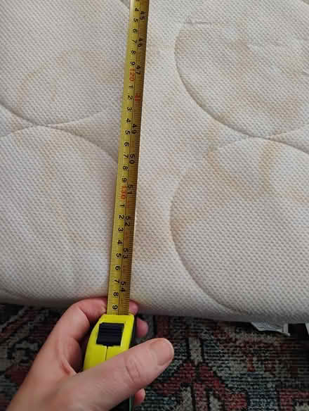 Photo of free Cot bed / animal bed (billericay CM12) #2