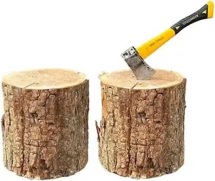 Photo of Tree stump for chopping wood (Lingwood NR13) #1