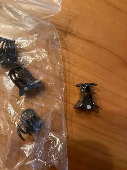 Photo of free Orchid plant clips (Crystal Beach) #1