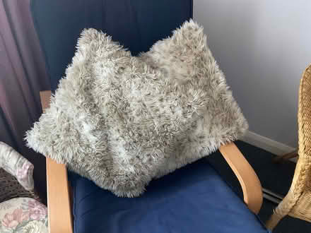 Photo of free Cushions (SS15) #1