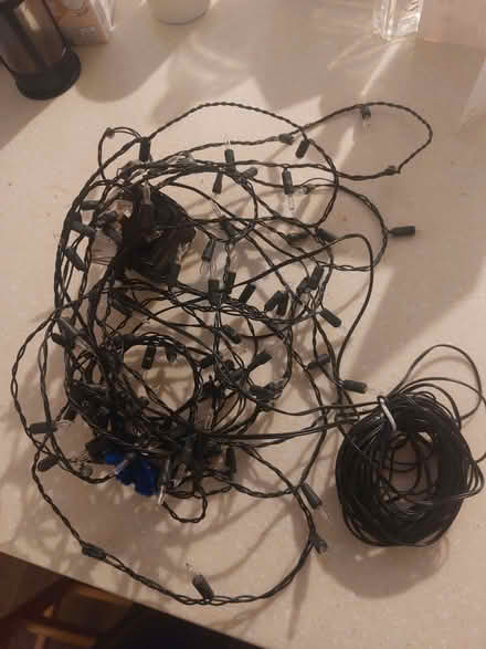 Photo of free Woolworths tree lights (Ringmer BN8) #1