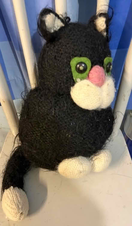 Photo of free Jess The Cat (Westbury BA13) #1