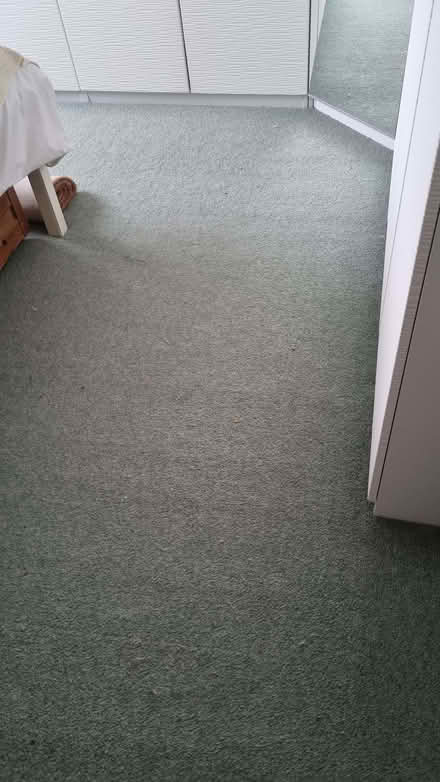 Photo of free bedroom carpet with underlay in excellent condition from smo (Millhouses S7) #1