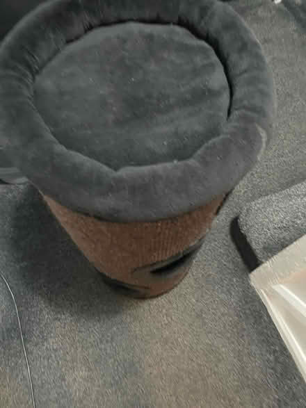 Photo of free Cat house scratch bed (Morden SM4) #2