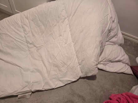 Photo of free Duvet (Portslade) #3