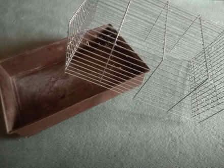 Photo of free small animal cage - pet guinea pig or similar (Hollingbury BN1) #2