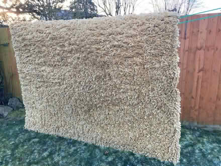 Photo of free Shaggy rug (Cheshunt EN7) #2