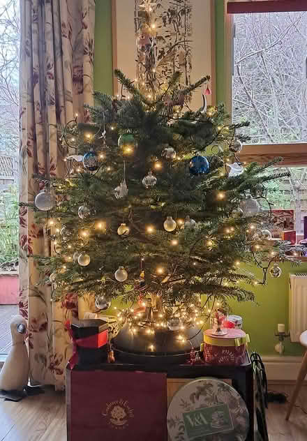 Photo of free 300 LED Christmas Tree lights (Cambridge Riverside, CB5) #1