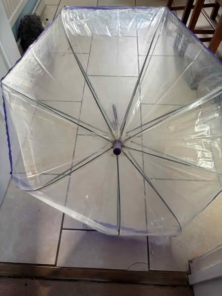 Photo of free Umbrella (Westbury Wilts BA13) #2