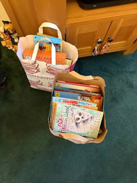 Photo of free Children’s books and some cds (Bury St Edmunds) #1