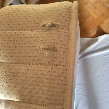 Photo of free Single orthopaedic mattress (Horsley GL6) #3
