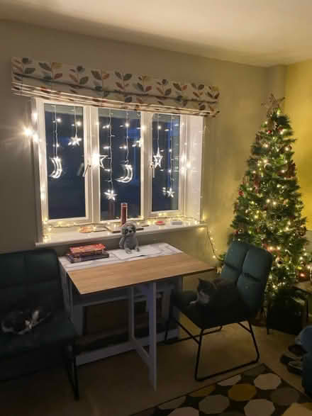 Photo of free Christmas Tree (Denmark Hill SE5) #2