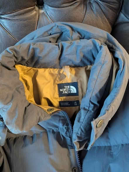 Photo of free For the coldest Days (Bronson/Carling) #1