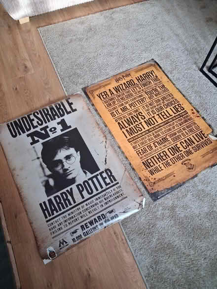 Photo of free Harry Potter posters x2 (Sandbach) #1