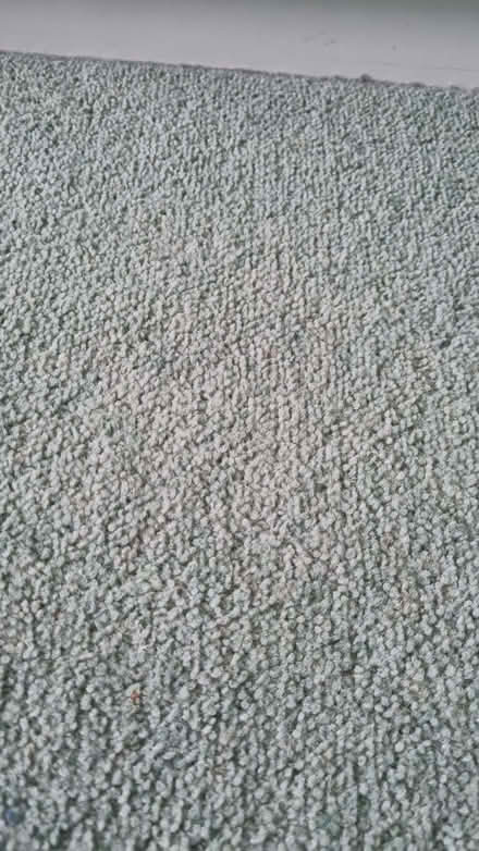 Photo of free bedroom carpet with underlay in excellent condition from smo (Millhouses S7) #2