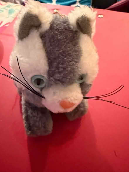 Photo of free Toy Cat (Westbury BA13) #1