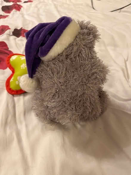 Photo of free Cuddly teddy with pretend parcel (Shephall SG2) #2