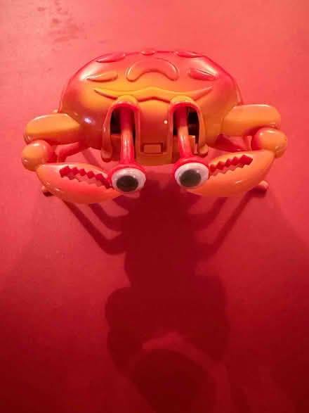 Photo of free Crab (Westbury BA13) #1