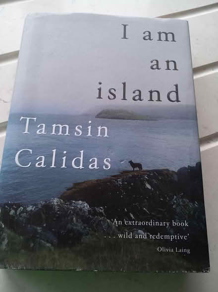 Photo of free I am an Island by Tamsin Calidas (BN7) #1