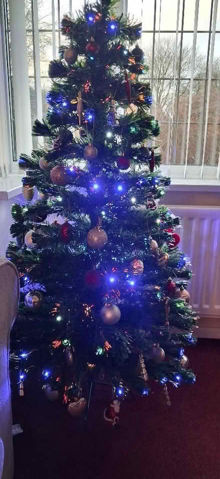Photo of free Christmas tree 4ft (KGH area NN16) #1