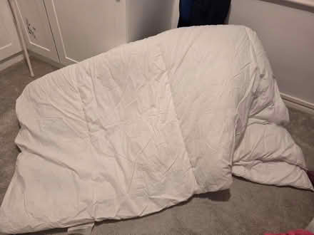 Photo of free Duvet (Portslade) #4