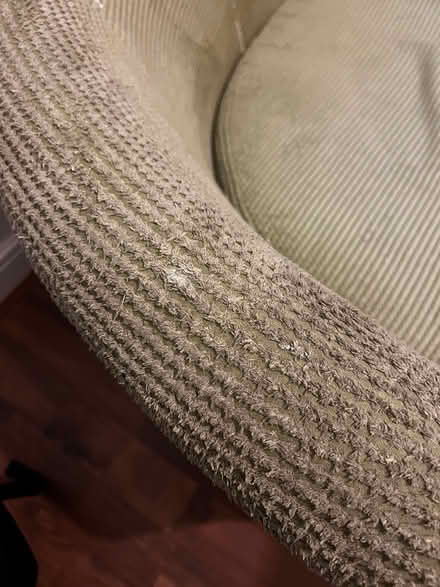 Photo of free Sage cuddle sofa (Eccles M30) #4